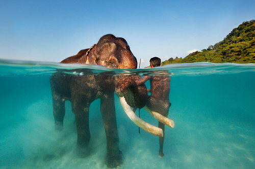 Andaman beach holiday with blue water